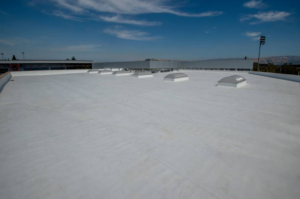 Best Cold Roofs  in Swanton, OH