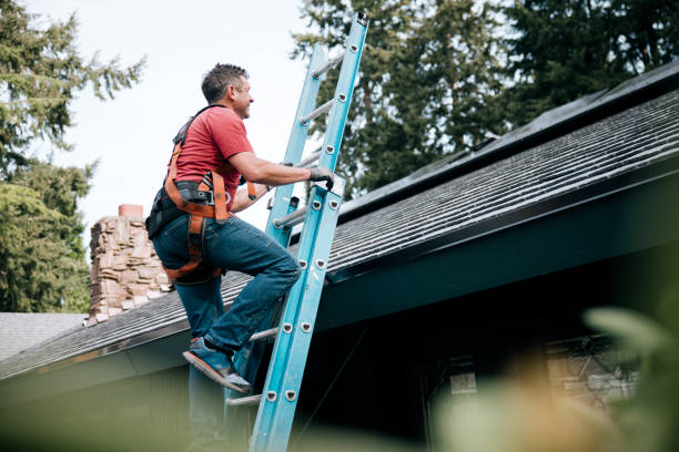 Best Rubber Roofing (EPDM, TPO)  in Swanton, OH