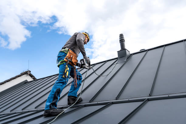Best Roof Moss and Algae Removal  in Swanton, OH