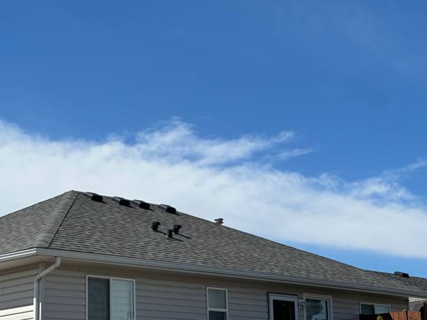 Best Roof Ventilation Installation  in Swanton, OH